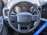 Thumbnail of 2023 Stone Gray Metallic Ford F-150