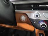 Thumbnail of 2025 Jungle Green Kia Telluride