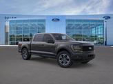 Photo of 2025 Agate Black Metallic Ford F-150