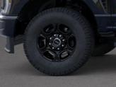 Thumbnail of 2025 Agate Black Metallic Ford F-250