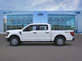 Thumbnail of 2025 Oxford White Ford F-150