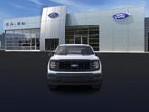 Thumbnail of 2025 Oxford White Ford F-150