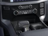 Thumbnail of 2025 Carbonized Gray Metallic Ford F-150 Lightning