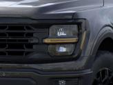 Thumbnail of 2025 Black Metallic Ford F-150