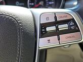 Thumbnail of 2022 Dark Moss Kia Telluride