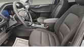 Thumbnail of 2025 Carbonzed Gra Ford Escape