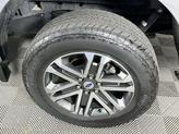 Thumbnail of 2021 Lead Foot Ford F-150