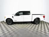 Thumbnail of 2023 Oxford White Ford F-150