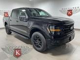 Photo of 2025 Agate Black Metallic Ford F-150