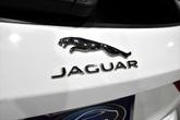Thumbnail of 2021 Fuji White Jaguar F-PACE