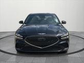 Thumbnail of 2025 Vik Black Genesis G70