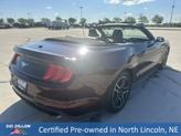 Thumbnail of 2018 Red Ford Mustang