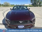 Thumbnail of 2018 Red Ford Mustang