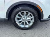 Thumbnail of 2025 White Honda CR-V