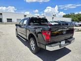 Thumbnail of 2024 Black Metallic Ford F-150
