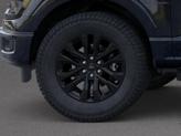 Thumbnail of 2025 Black Metallic Ford F-150