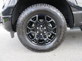 Thumbnail of 2024 Agate Black Metallic Ford F-150