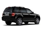Thumbnail of 2009 Redfire Clearcoat Metallic Ford Escape