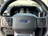 Thumbnail of 2022 Carbonized Gray Metallic Ford F-150