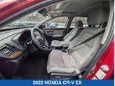 Thumbnail of 2022 Radiant Red Metallic Honda CR-V