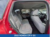Thumbnail of 2022 Radiant Red Metallic Honda CR-V