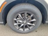 Thumbnail of 2026 Platinum White Pearl Honda CR-V