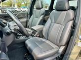Thumbnail of 2023 Autumn Green Metallic Subaru Forester