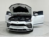 Thumbnail of 2020 WHITE Lamborghini Urus