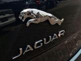 Thumbnail of 2019 British Racing Green Metallic Jaguar XJ