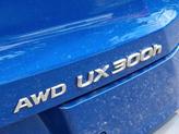Thumbnail of 2025 Grecian Water Lexus UX 300h