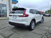 Thumbnail of 2026 Platinum White Pearl Honda CR-V