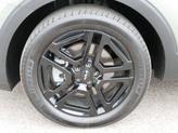 Thumbnail of 2024 Jungle Green Kia Telluride