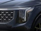 Thumbnail of 2026 Panthera Metal Kia Carnival Hybrid