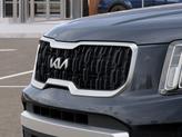 Thumbnail of 2025 Panthera Metal Kia Telluride