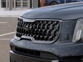 Thumbnail of 2025 Panthera Metal Kia Telluride