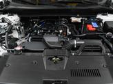 Thumbnail of 2025 White Honda CR-V