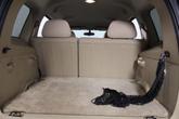 Thumbnail of 2007 Sandstone Metallic Chevrolet HHR