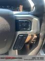 Thumbnail of 2018 White Gold Ford F-150