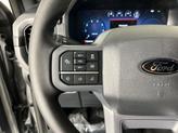Thumbnail of 2025 Iconic Silver Metallic Ford F-150