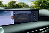 Thumbnail of 2025 Vik Black Genesis G80