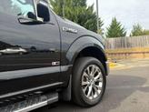 Thumbnail of 2017 Shadow Black Ford F-150