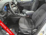 Thumbnail of 2025 Oxford White Ford Escape