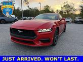 Photo of 2024 Race Red Ford Mustang