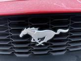 Thumbnail of 2024 Race Red Ford Mustang