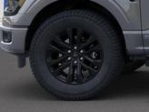 Thumbnail of 2025 Carbonized Gray Metallic Ford F-150