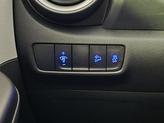 Thumbnail of 2022 Cactus Fern Hyundai KONA
