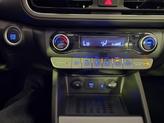 Thumbnail of 2022 Cactus Fern Hyundai KONA