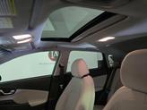 Thumbnail of 2022 Cactus Fern Hyundai KONA