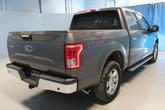 Thumbnail of 2016 Magnetic Ford F-150