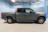 Thumbnail of 2016 Magnetic Ford F-150
